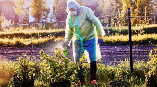Gyakorlati útmutató: segítség érkezett a gazdáknak az inváziós fajokkal szembeni harcban Gyakorlati útmutató: segítség érkezett a gazdáknak az inváziós fajokkal szembeni harcban