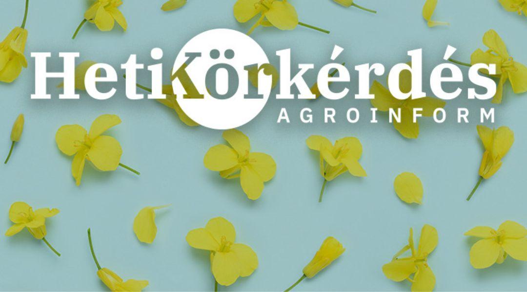 Mi a nagy termőképességű repcék titka? – Heti Körkérdés