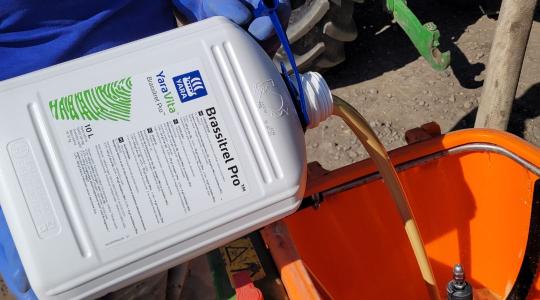 Lombtrágyázás: az olajos növények titkos fegyvere