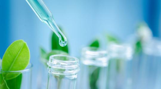 A Lidea és a DSG-hez tartozó Agronutrition egyesíti szakértelmét a vetőmag-technológia területén A Lidea és a DSG-hez tartozó Agronutrition egyesíti szakértelmét a vetőmag-technológia területén
