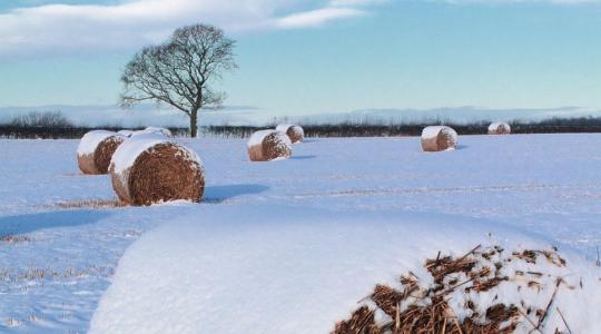 Zord idő jön a hétvégén – mutatjuk, hol lehet havazás Zord idő jön a hétvégén – mutatjuk, hol lehet havazás