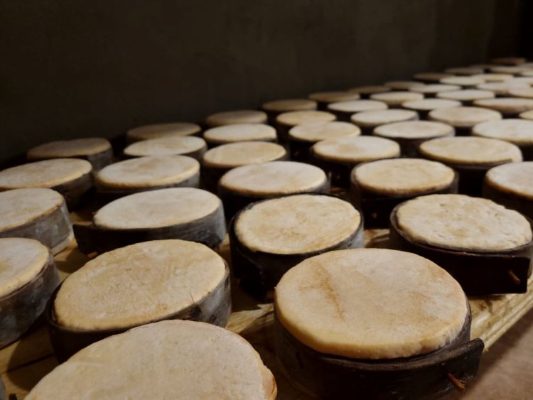 Hegedűs Sajtműhely