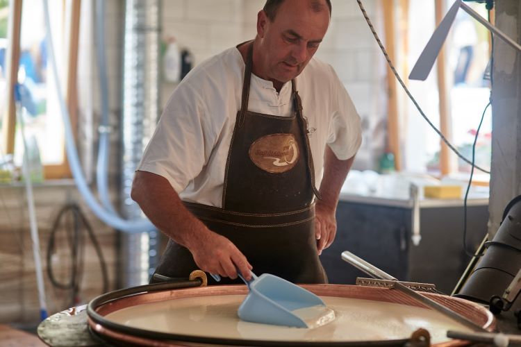 Hegedűs Sajtműhely