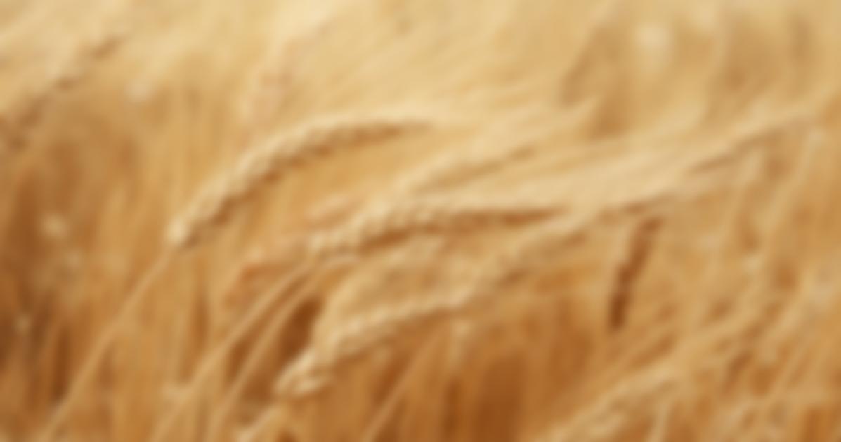 Szeles napok és hűvösebb éjszakák: tovább szárad a talaj