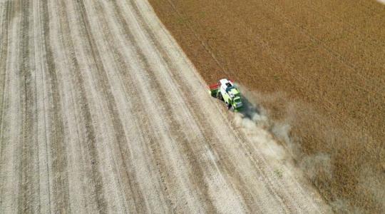 Vendégmunkás-stop: attól tartanak a gazdák, hogy nem lesz, aki elvégezze a munkát Vendégmunkás-stop: attól tartanak a gazdák, hogy nem lesz, aki elvégezze a munkát