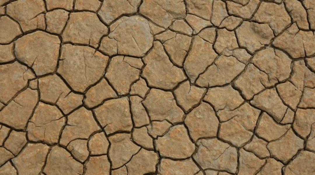 Aszály 2026-ban: így kerülheted el a komoly támogatási szankciókat vis maiorral