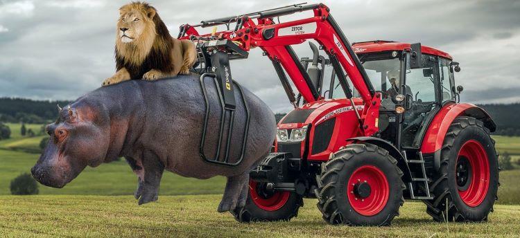 Zetor