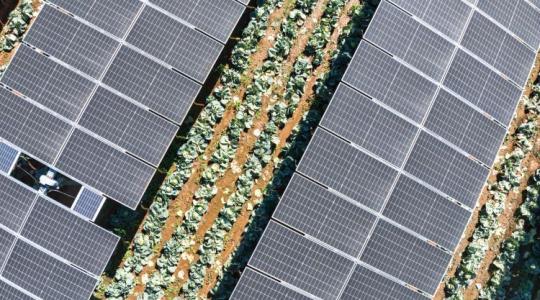 Ha lemaradsz erről, más aratja le az energia hasznát is