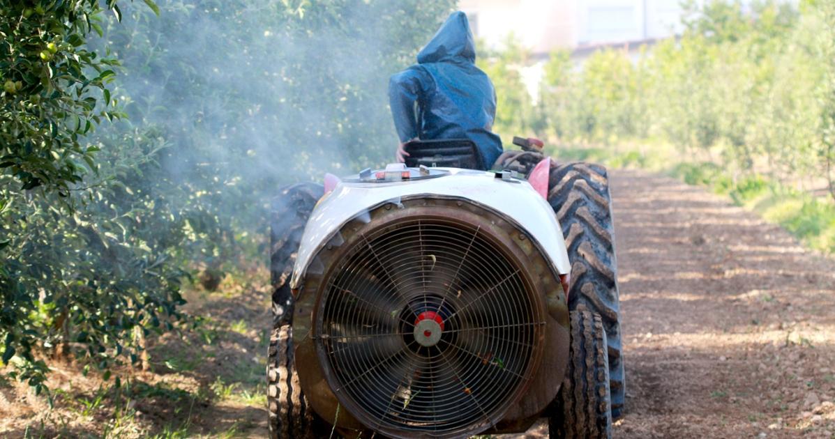 Időjárás: reggel lesz egy időablakunk a permetezésre