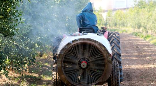 Időjárás: reggel lesz egy időablakunk a permetezésre Időjárás: reggel lesz egy időablakunk a permetezésre