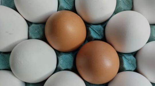 Egészségesebb a barna tojás? A válasz sokakat meglep Egészségesebb a barna tojás? A válasz sokakat meglep
