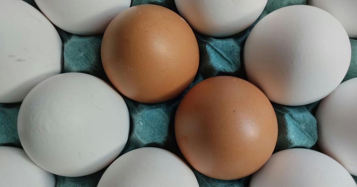 Egészségesebb a barna tojás? A válasz sokakat meglep