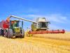 Óriási pénzek érkeztek az agráriumba: már közel 488 milliárd forintot fizettek ki