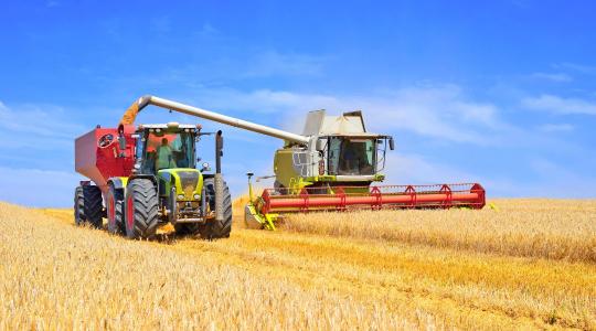 Óriási pénzek érkeztek az agráriumba: már közel 488 milliárd forintot fizettek ki Óriási pénzek érkeztek az agráriumba: már közel 488 milliárd forintot fizettek ki