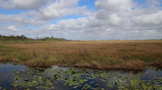 Eltűnhetnek a vizes élőhelyeink – a múlt tudása az utolsó esélyünk