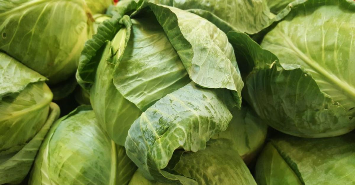 Hatalmas drágulást hozott a szezonváltás a káposztapiacon Hatalmas drágulást hozott a szezonváltás a káposztapiacon