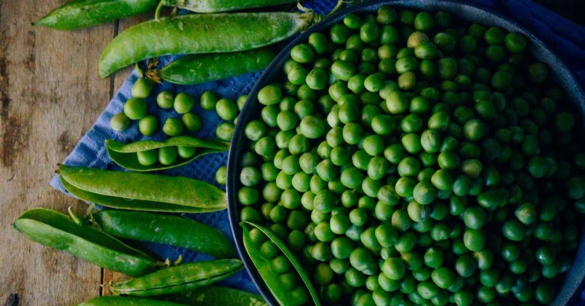 Zöldborsó zsizsikmentesítése a kiskerti betakarítás után