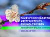 Tavaszi kockázatok, kríziskezelés gyümölcsösben - Agroinform online konferencia  – így csatlakozhatsz!