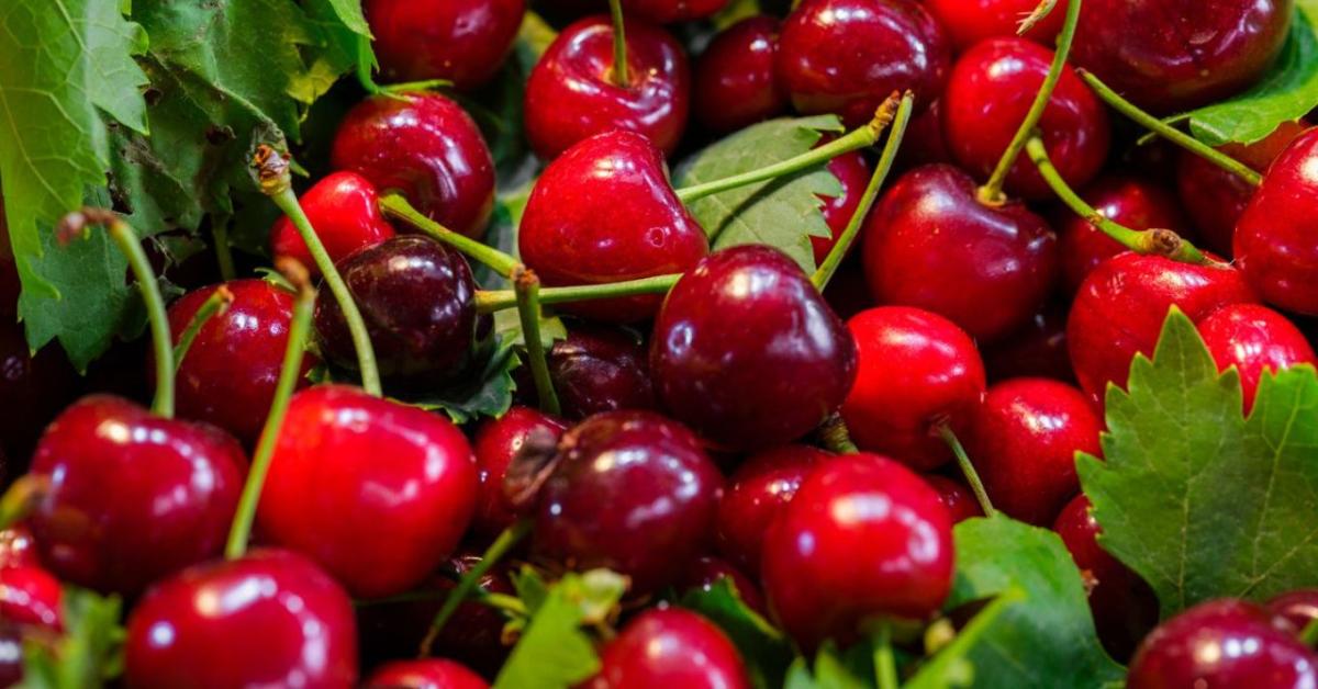 A rengeteg gyümölcs lett a gazdák veszte?