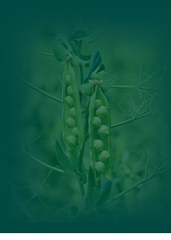 körkérdés körkérdés