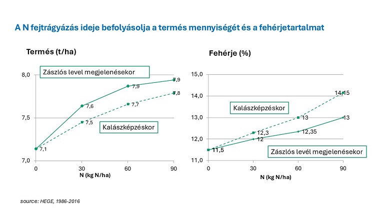 körkérdés körkérdés