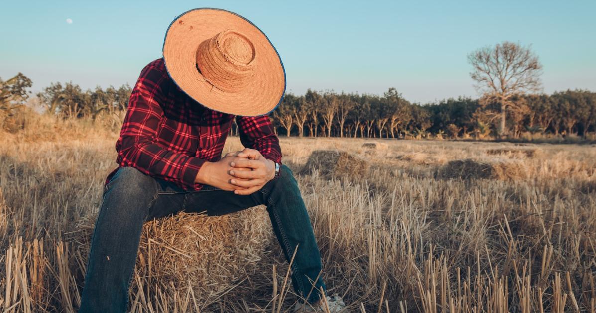 A háború előtti szinten a kőolaj ára – Így élik meg a termelők