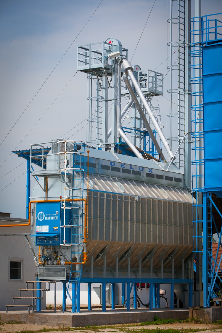 napraforgó napraforgó