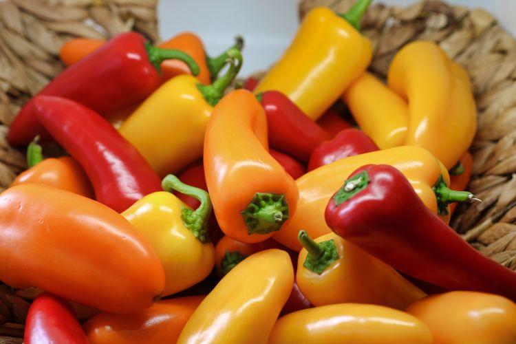 paprika paprika