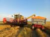Hihetetlen: 46. aratási szezonját dolgozza ez a Claas Dominator 105