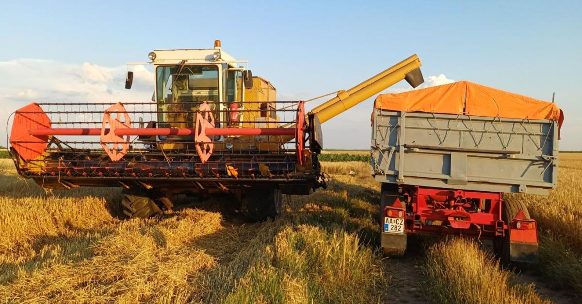 Hihetetlen: 46. aratási szezonját dolgozza ez a Claas Dominator 105