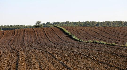 Regen Compass: Az útmutató, ami átírhatja a 2027 utáni agrárpolitikát