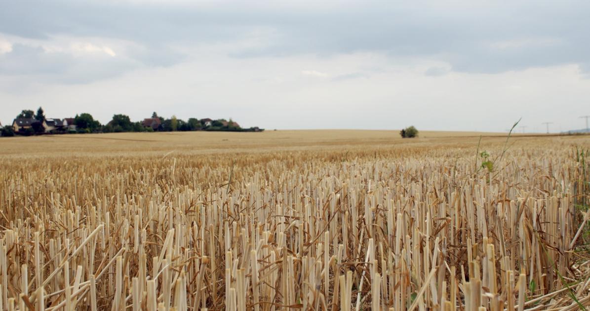 Elvonult a hidegfront, a szél még marad Elvonult a hidegfront, a szél még marad