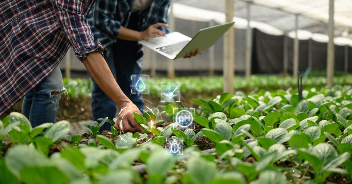 Hogyan használhatják okosan a gazdák a mesterséges intelligenciát? Itt a segítség! Hogyan használhatják okosan a gazdák a mesterséges intelligenciát? Itt a segítség!