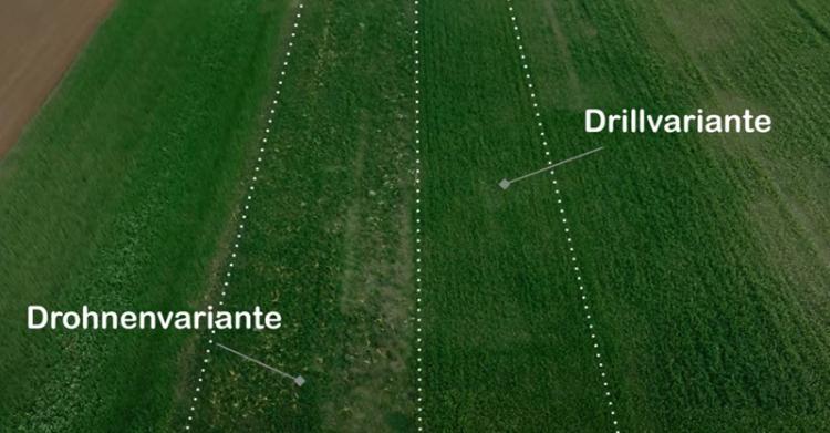drónos másodvetés eredménye
