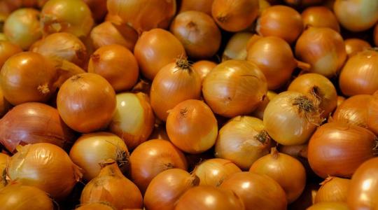 Már a nyugati szupermarketekbe tart a kínai prémium hagyma