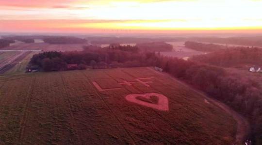 Különleges üzenet nőtt ki a földből Németországban Különleges üzenet nőtt ki a földből Németországban