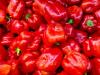 Súlyos csúszás a hajtatásban: valami nagyon nincs rendben a piros paprika piacán