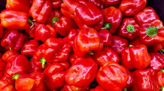 Súlyos csúszás a hajtatásban: valami nagyon nincs rendben a piros paprika piacán Súlyos csúszás a hajtatásban: valami nagyon nincs rendben a piros paprika piacán