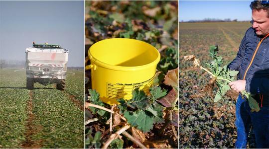 Ezt figyeld a repcéden!