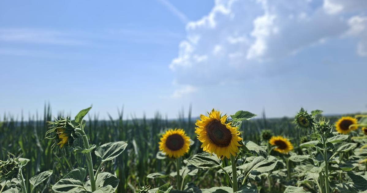 Folytatódik a napos, gomolyfelhős időjárás