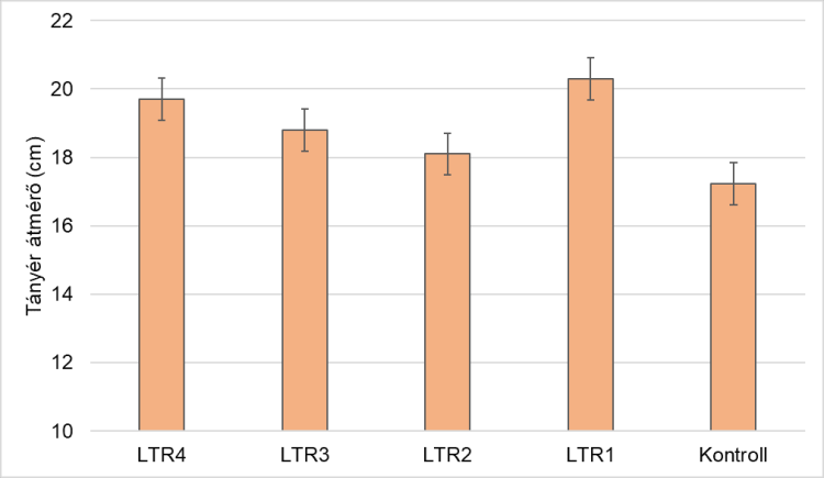 napraforgó napraforgó