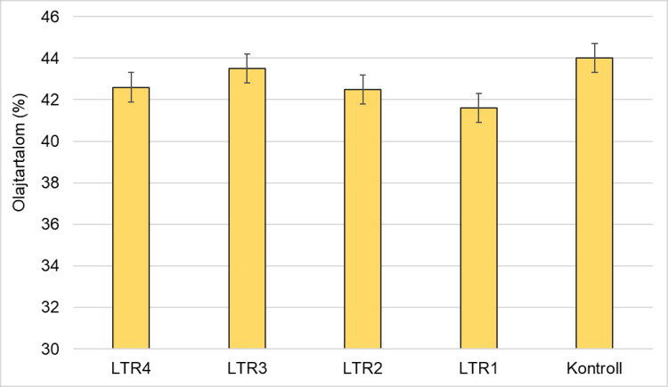 napraforgó napraforgó
