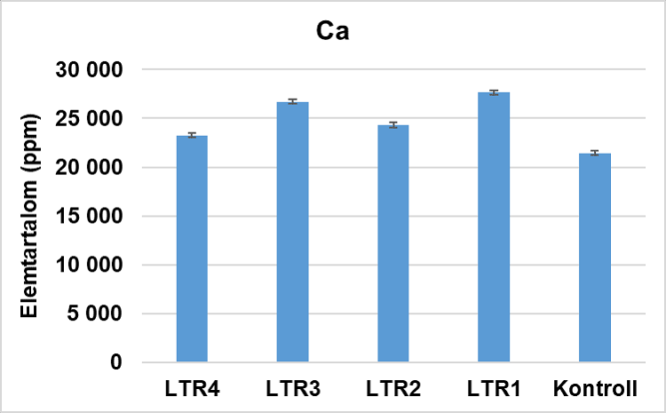 napraforgó napraforgó