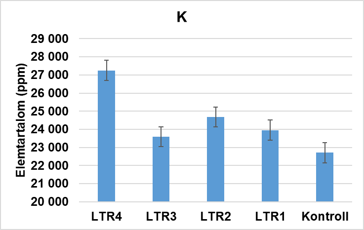 napraforgó napraforgó