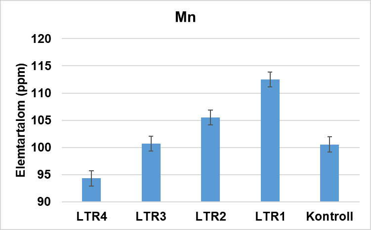 napraforgó napraforgó