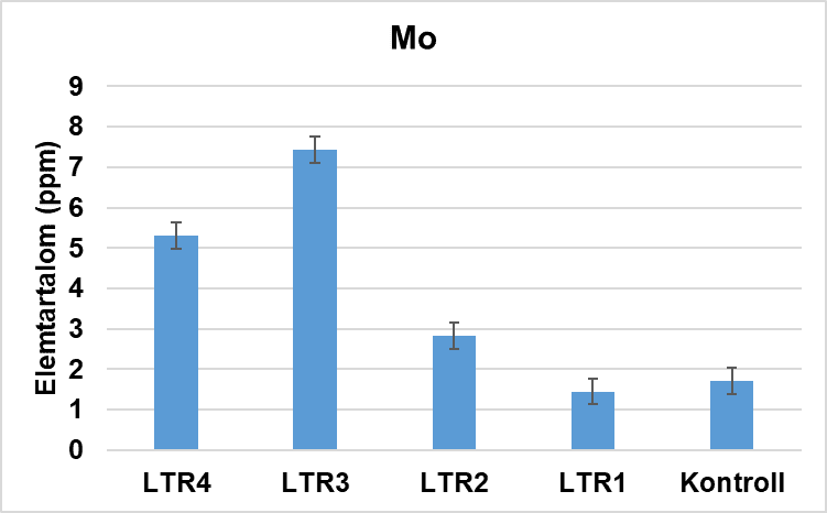 napraforgó napraforgó
