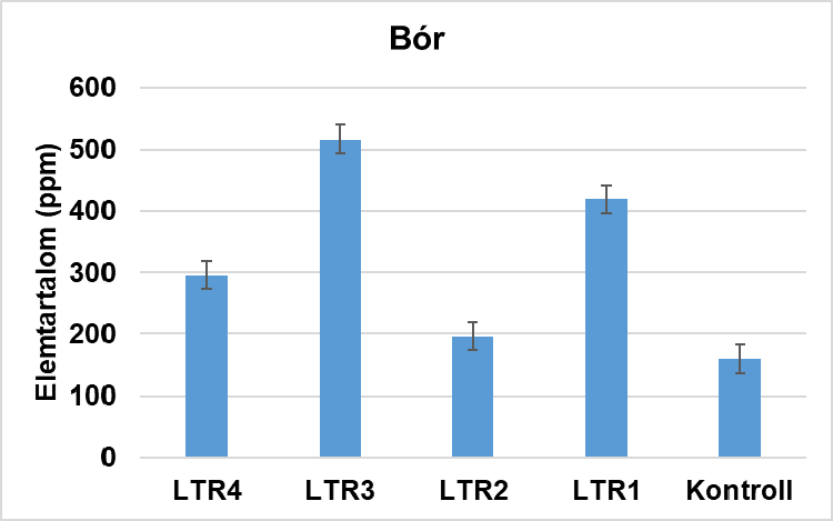 napraforgó napraforgó