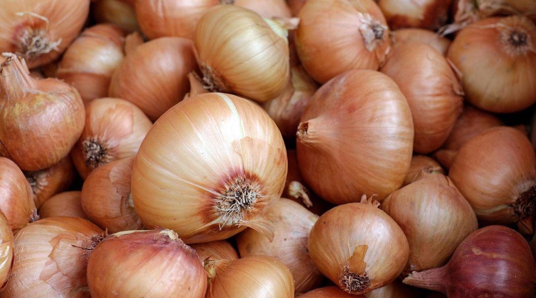 Ezt sokan elrontják: ezen múlhat, hogy megromlik-e a hagyma! 