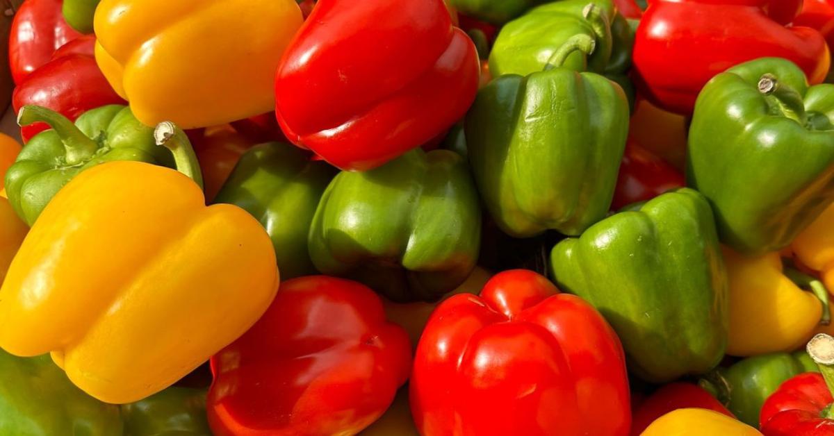 Hőstressz és minőségromlás az üvegházakban: komoly termésveszteséggel küzdenek a paprikatermesztők