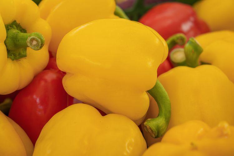 kaliforniai paprika kaliforniai paprika